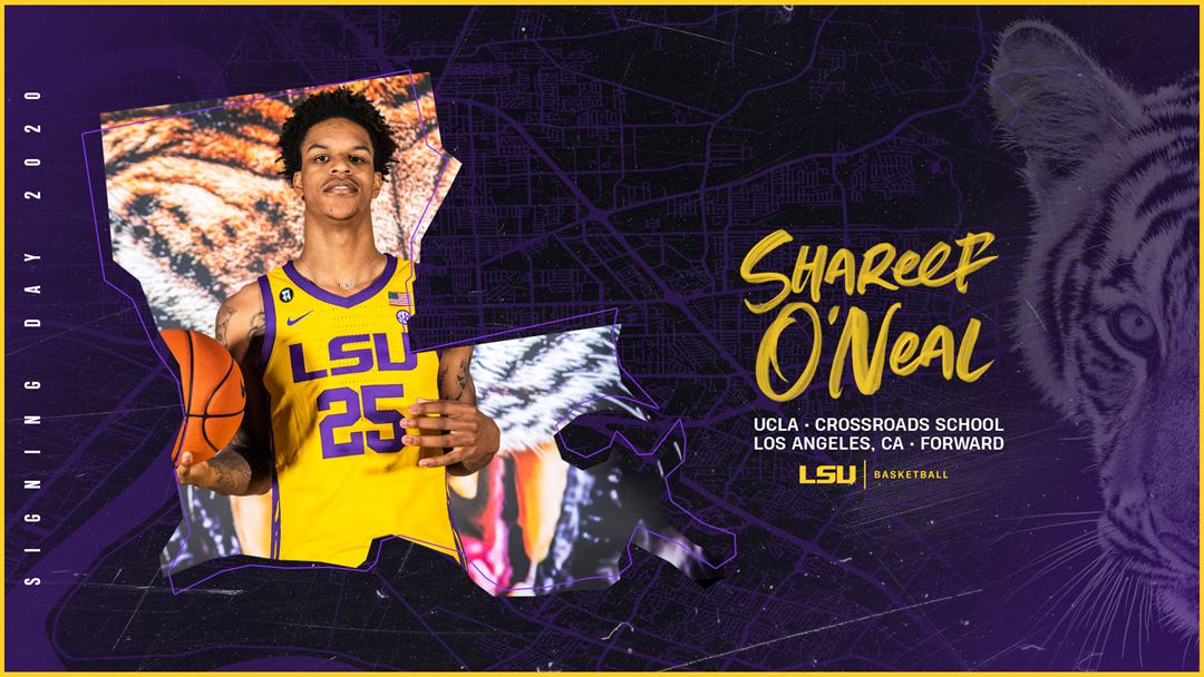 19SIGNEE_Shareef
