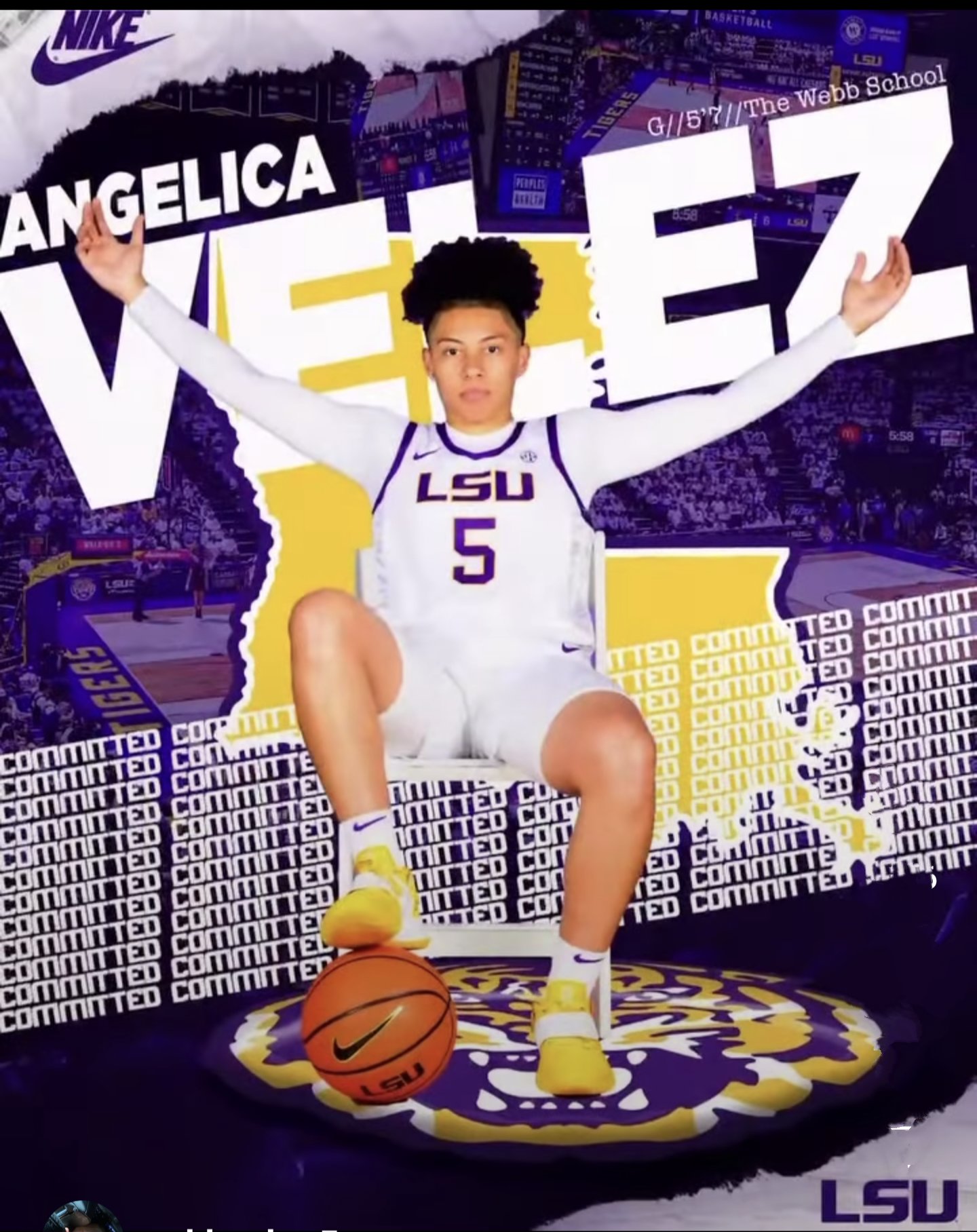 Angelica Velez graphic 2