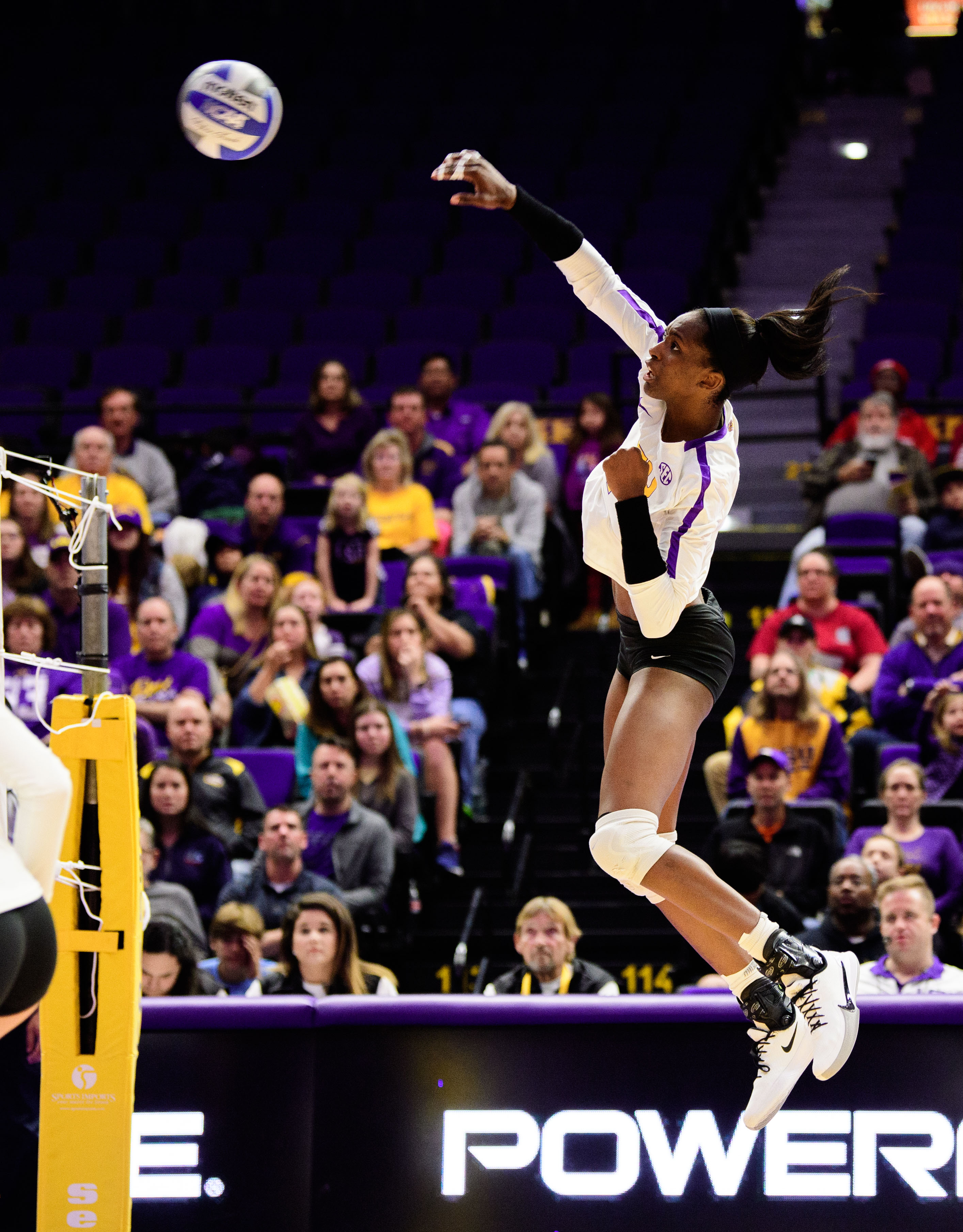 Volleyball vs KentuckyPhoto by Chris Parent