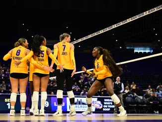 Volleyball players in yellow uniforms huddle on the court near the net during a match.