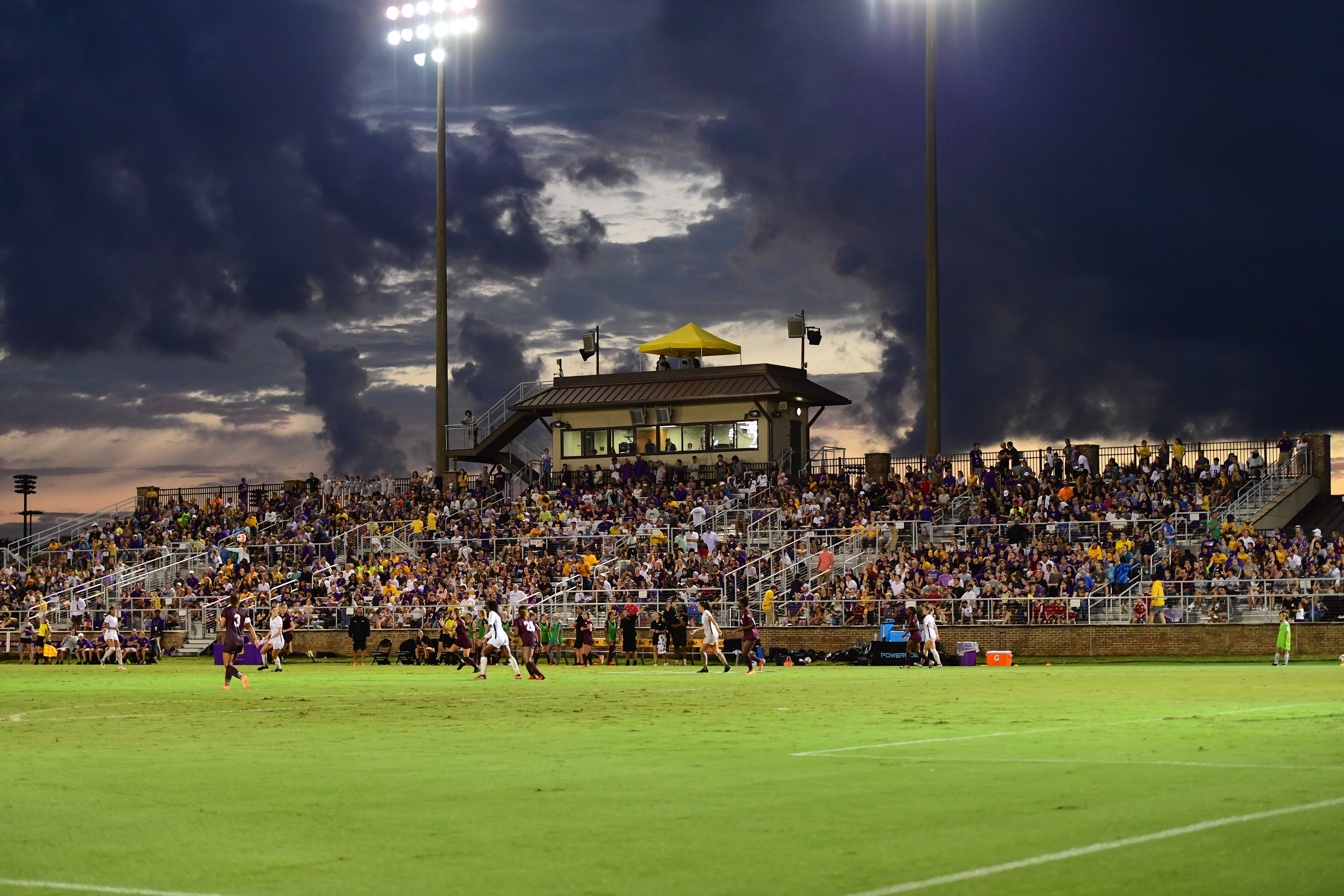 LSU soccer crowd