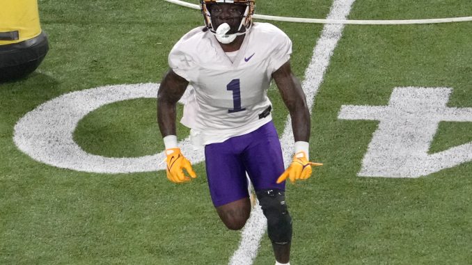 LSU wide receiver Aaron Anderson