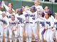 LSU Softball
