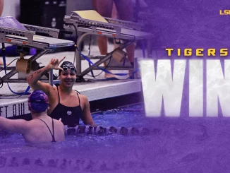 LSU Tigers Swim & Dive banner with swimmers celebrating in the pool, purple overlay and tiger logo in the corner.