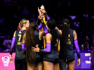 Women’s basketball team huddling with hands joined in a circle before a game, backs facing camera in black and purple uniforms.