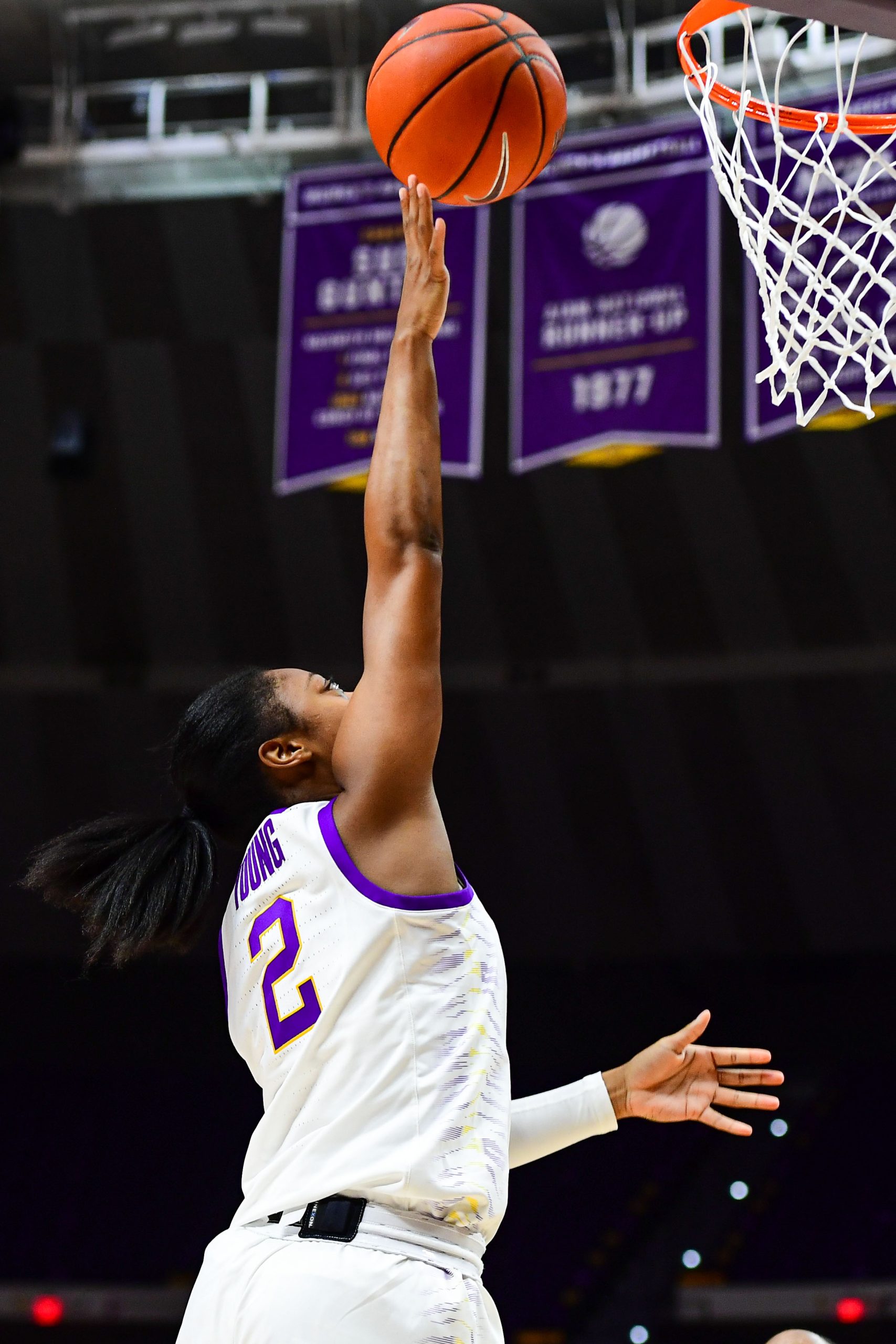 LSU_25728