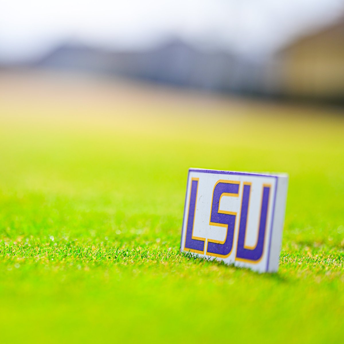 LSUteemark