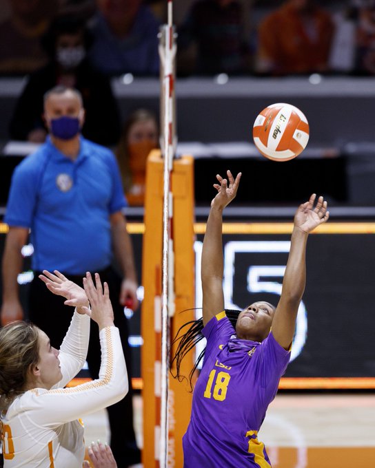 LSUvolleyVols