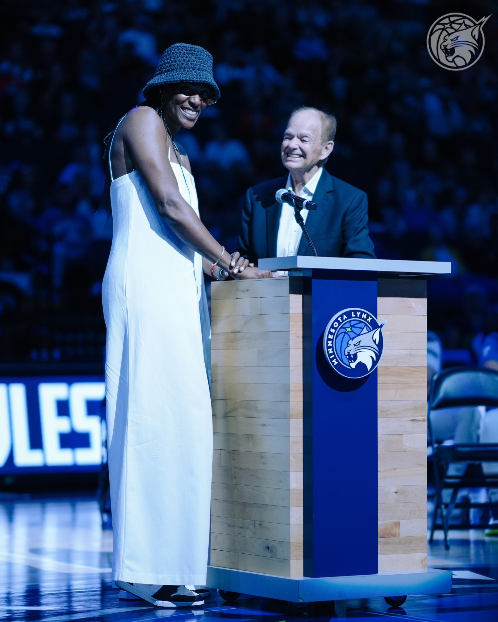 Sylvia Fowles Lynx jersey retired