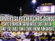 LSU baseball news
