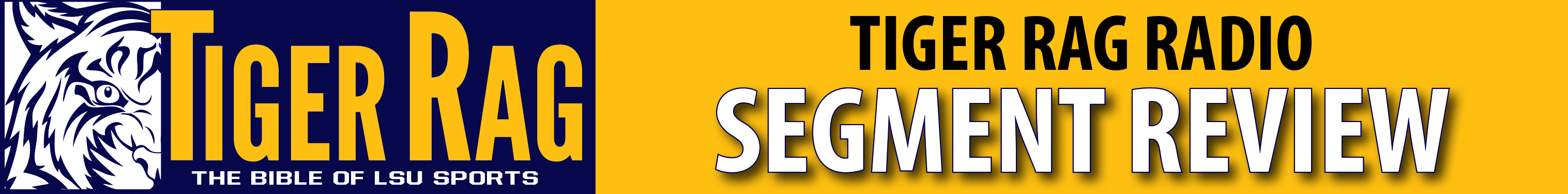 TRRSegmentReview | Tiger Rag