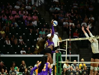 Female volleyball player in purple leaps to spike the ball over the net as the crowd watches from stands behind her.