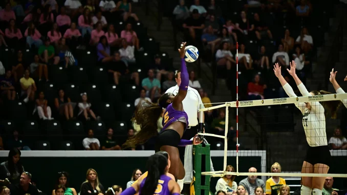Female volleyball player in purple leaps to spike the ball over the net as the crowd watches from stands behind her.